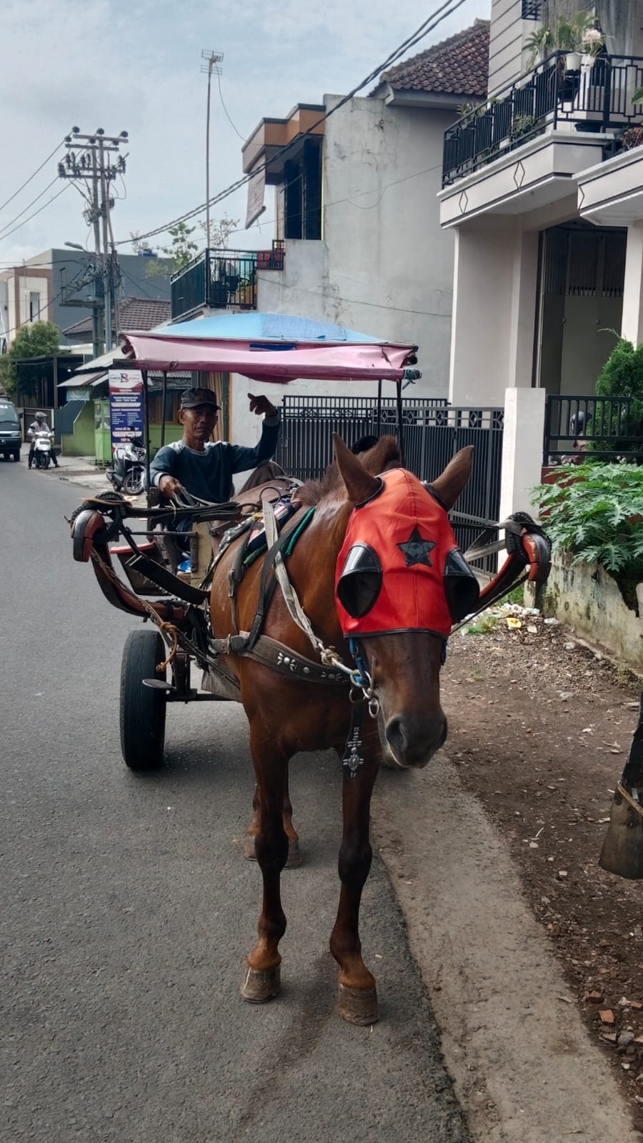 Delman di Tasikmalaya Masih di Minati Masyarakat, Walupun Banyak Persaingan