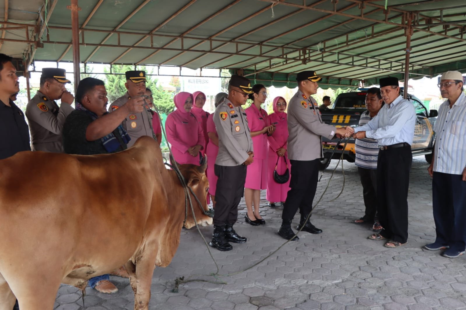 Jelang Idul Adha, Polres Tanah Karo Serahkan Satu Ekor Sapi ke Masjid Agung Kabanjahe