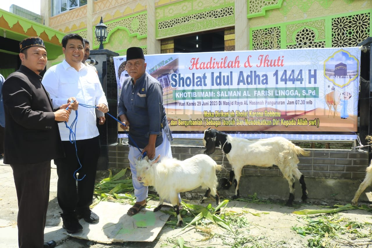 Sambut Idul Adha 1444H, Bupati Samosir Serahkan Hewan Qurban