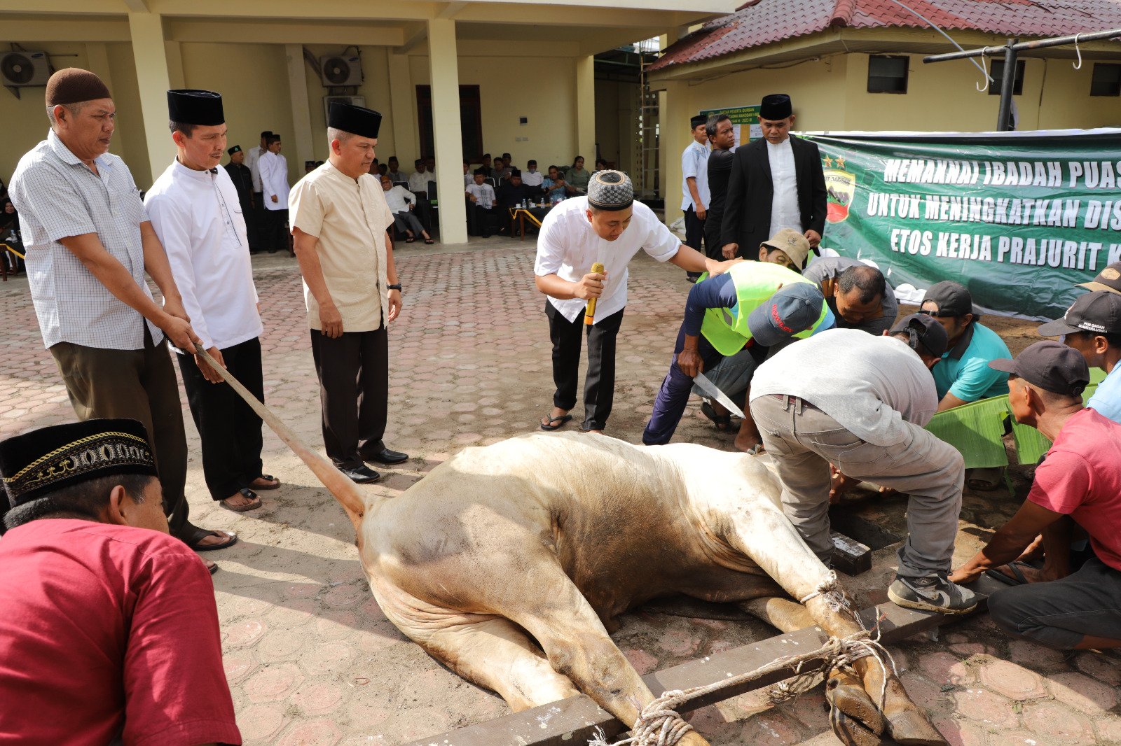 Idul Adha 1444 H, Pangdam I/BB Beserta PJU Berqurban 10 Sapi dan 7 Kambing