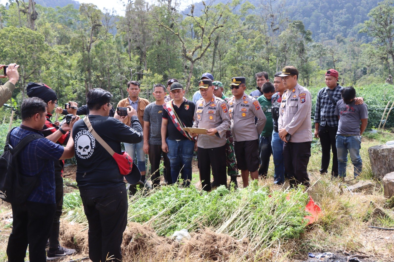 Polres Tanah Karo Berhasil Amankan Ratusan Batang Ganja di Hutan Tahura