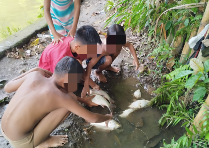 Warga Binjai Resah Banyak Ikan Yang Mati Dialiran Sungai Mencirim,Diduga Tercemar Racun.