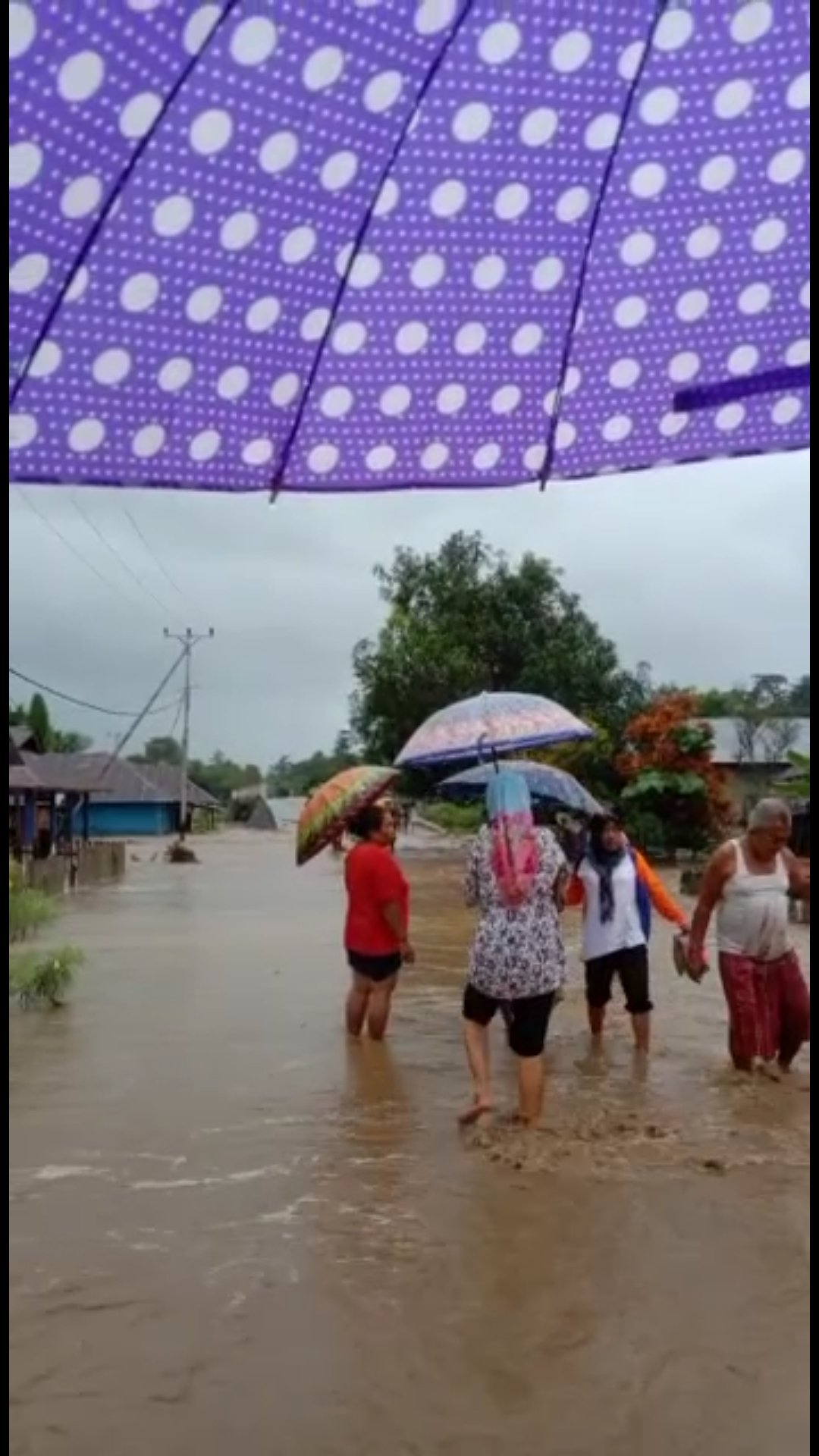 Banjir Rendam 50 Rumah di  Kabupaten Sula
