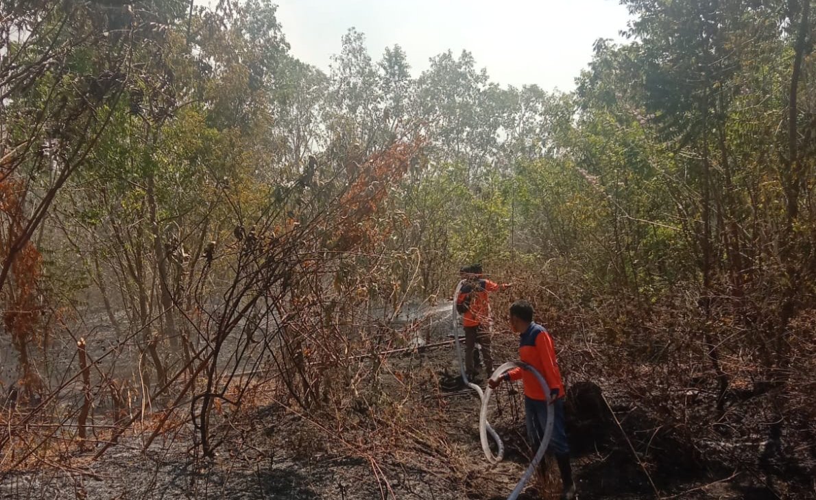 Karhutla Seluas 40 Hektar di Flores Timur Akibat Praktik Pembukaan Lahan