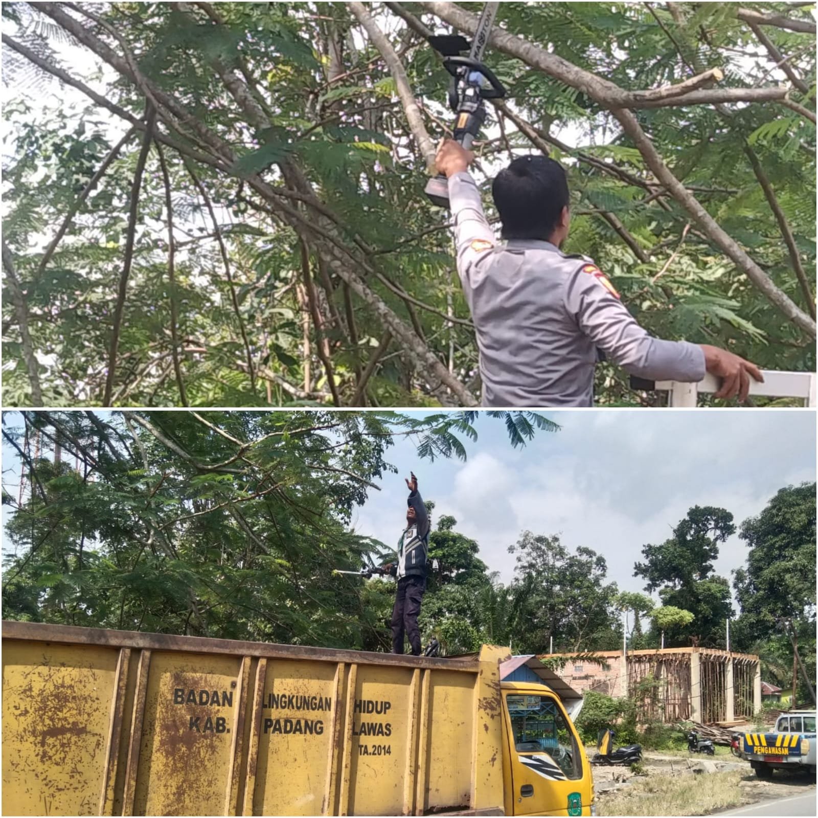 Sambut HUT RI ke-78, Disperkimhub Palas Lakukan Pemangkasan Pohon yang Menutupi Rambu