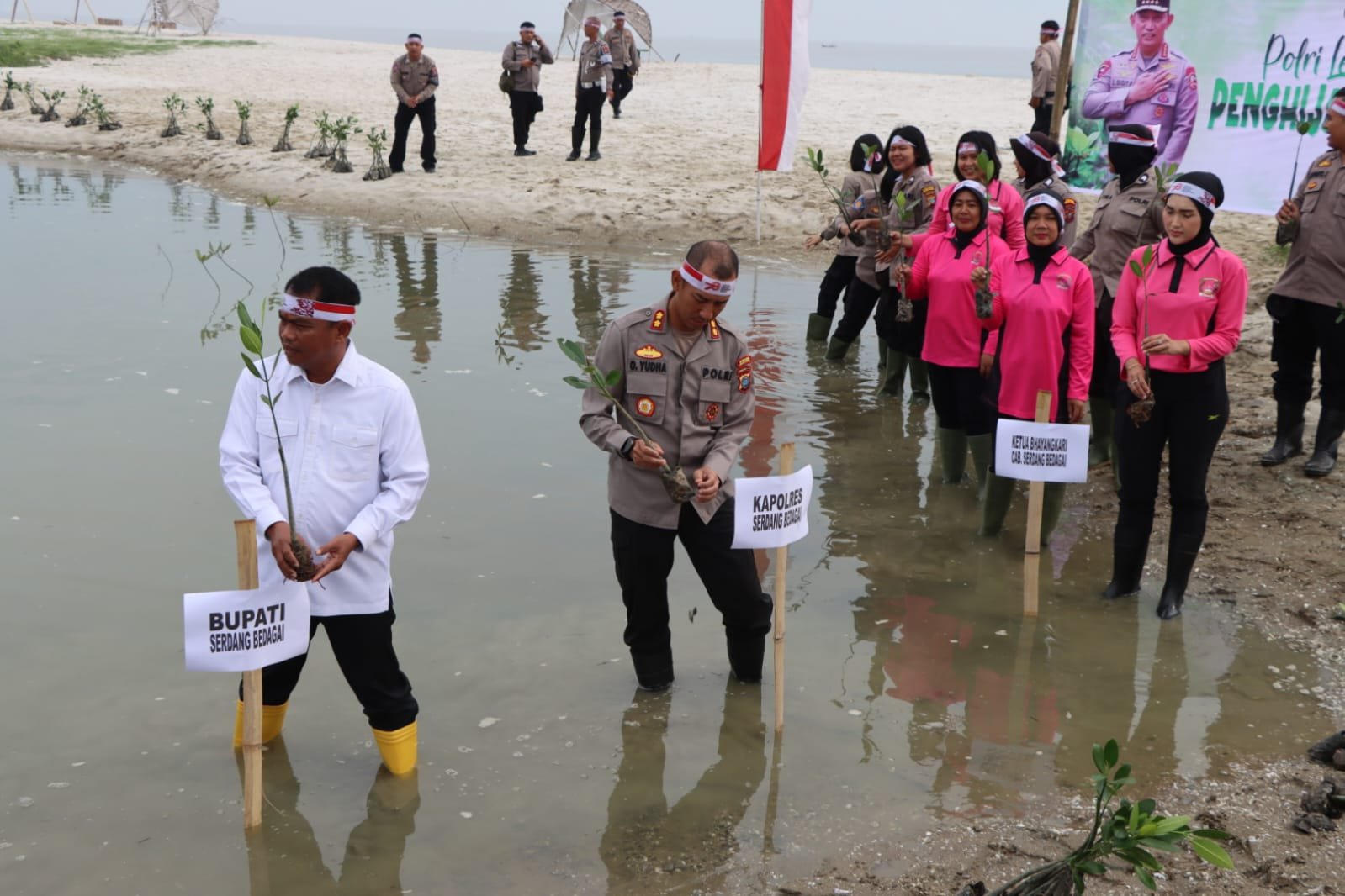 Hijaukan Bumi Sergai, Polres Bersinergi Dengan Pemkab Tanam Ribuan Manggrove Serentak