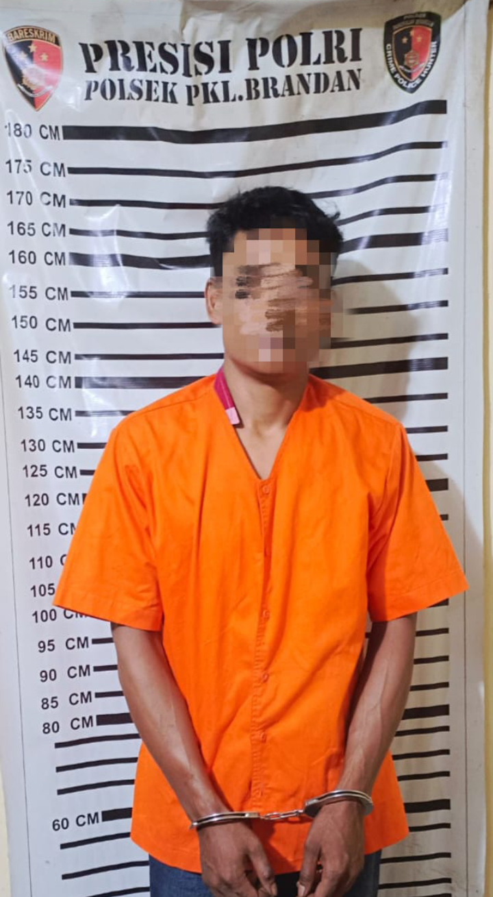 Gerak Cepat ,Polsek Pangkalan Brandan Tangkap Pelaku Penganiayaan.