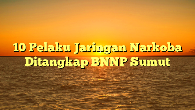 10 Pelaku Jaringan Narkoba Ditangkap BNNP Sumut