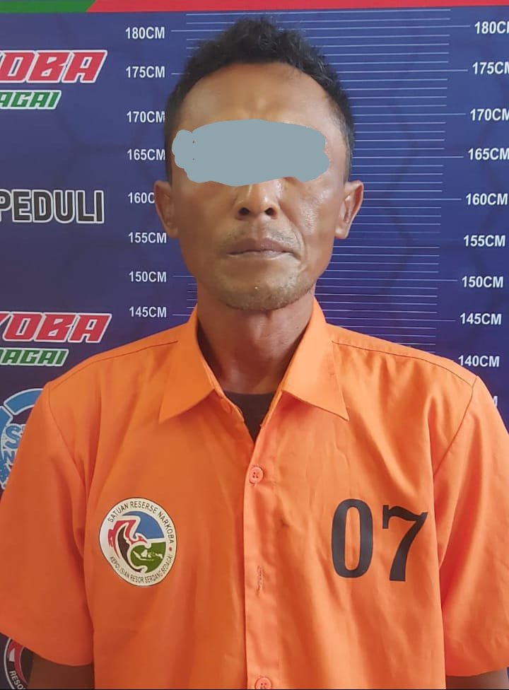 Penjual Ganja Asal Perbaungan, Diciduk Satres Narkoba Polres Sergai