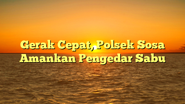 Gerak Cepat, Polsek Sosa Amankan Pengedar Sabu
