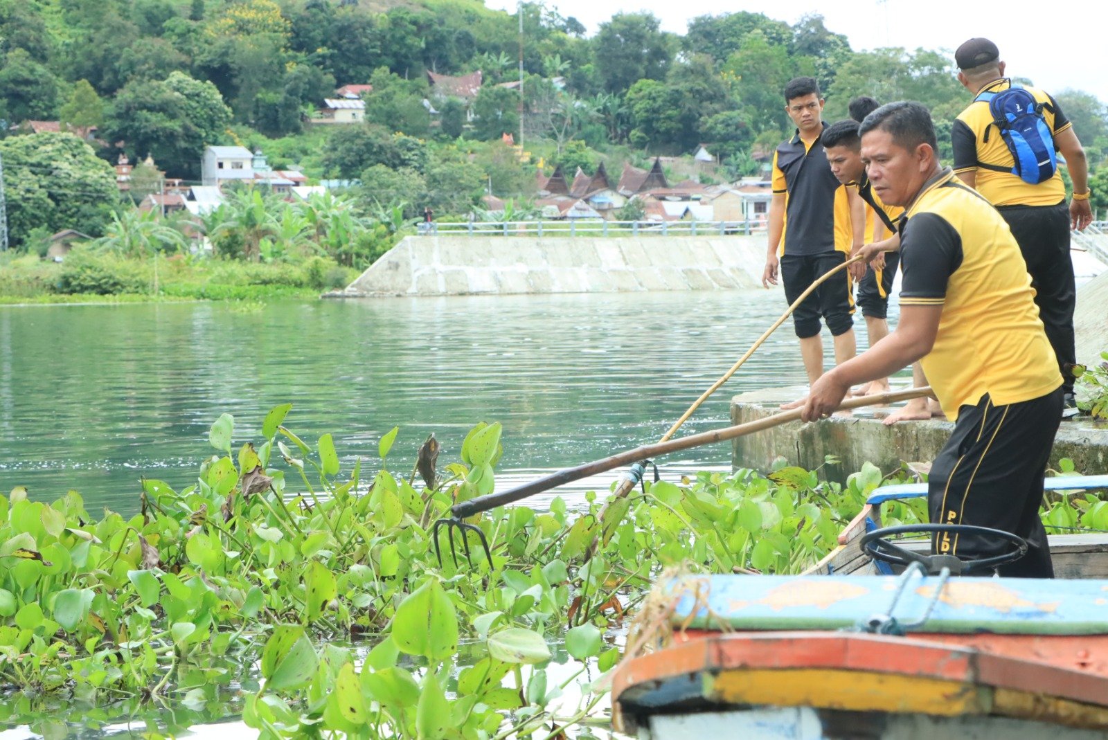 Polres Samosir Bersihkan Eceng Gondok di Pantai Danau Toba
