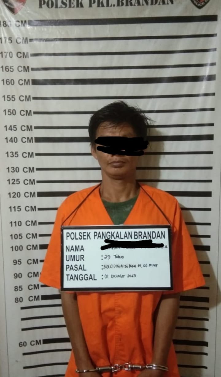 Polsek Pangkalan Brandan Tangkap Pelaku Pencuri Ternak