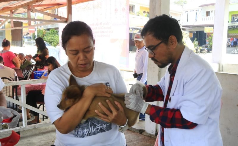Peringati Hari Rabies Sedunia, Pemkab Samosir Gelar Vaksinasi Rabies Gratis