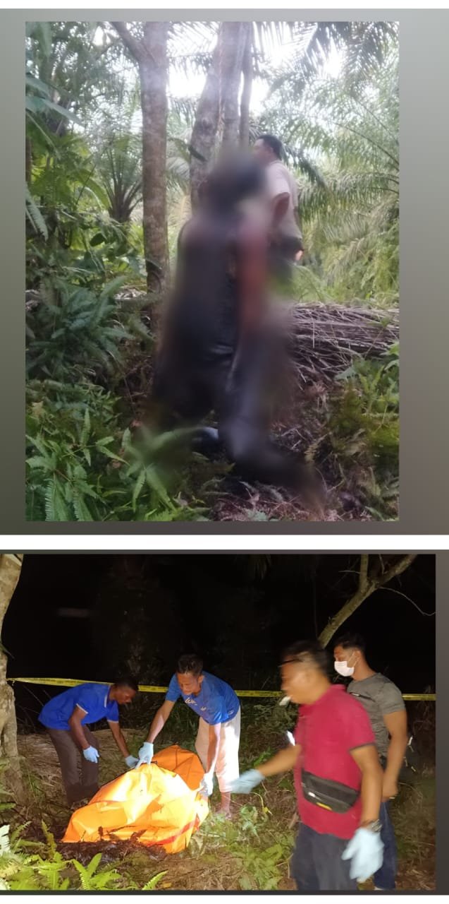 Diduga Depresi SY Akhiri Hidup Dengan Gantung Diri