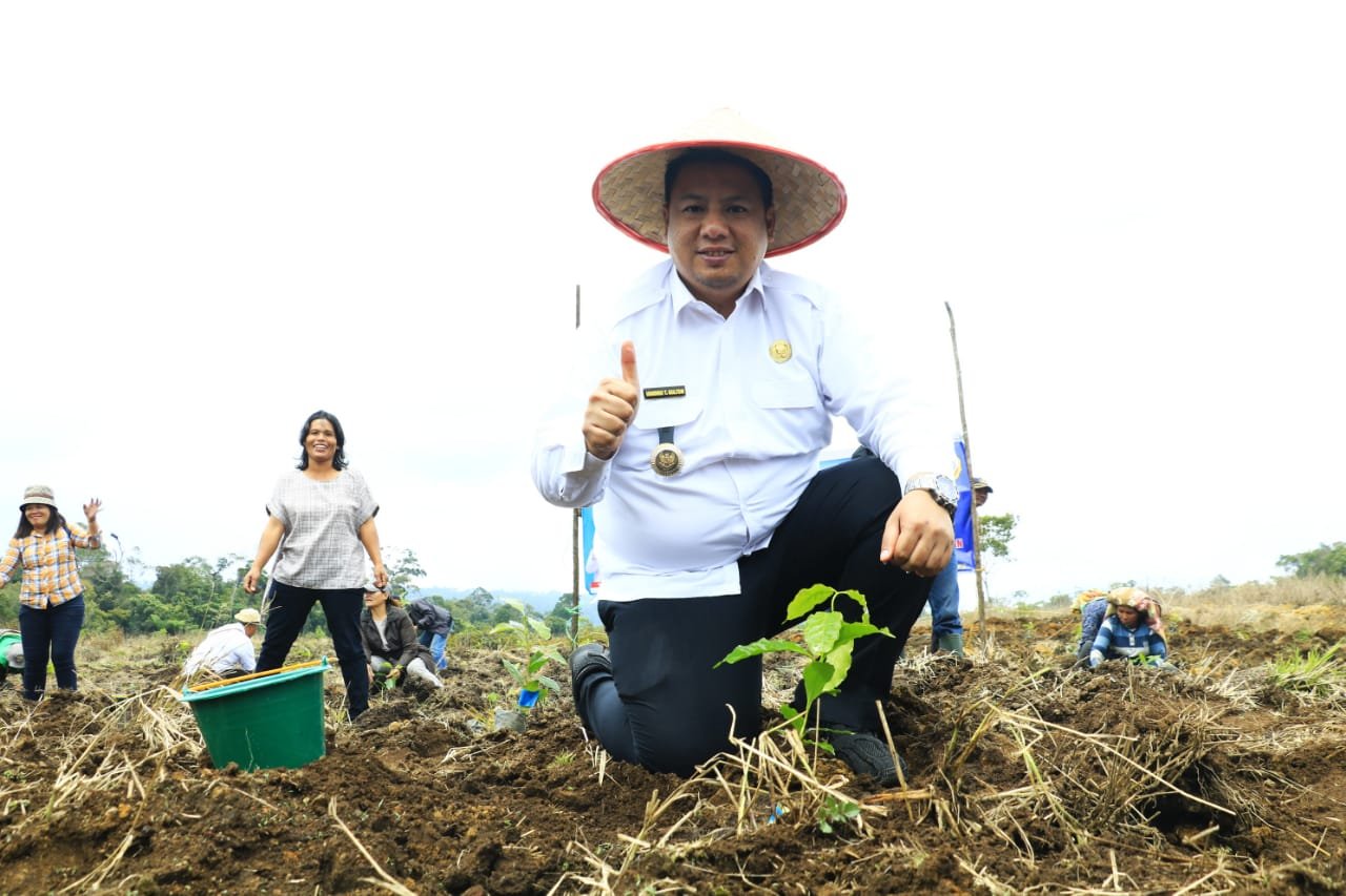 Bupati Samosir, Kepala BBPPTP Medan dan Kelompok Tani Tanam Bibit Kopi