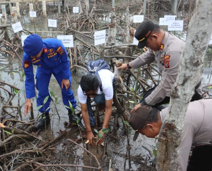 Plt Bupati Langkat Bersama Pj Gubsu Tanam 10 Ribu Bibit Mangrove di Lubuk Kertang