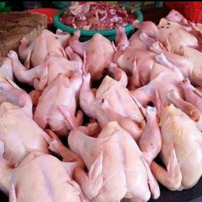 Pengamat Ekonomi: Sempat Naik Harga Daging Ayam Berbalik Turun, Waspadai Pemicunya
