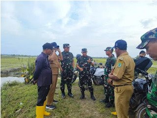 Kasdam l/BB Bersama Danrem 031/WB Tinjau Lokasi Lahan Ketahanan Pangan di Pekaitan