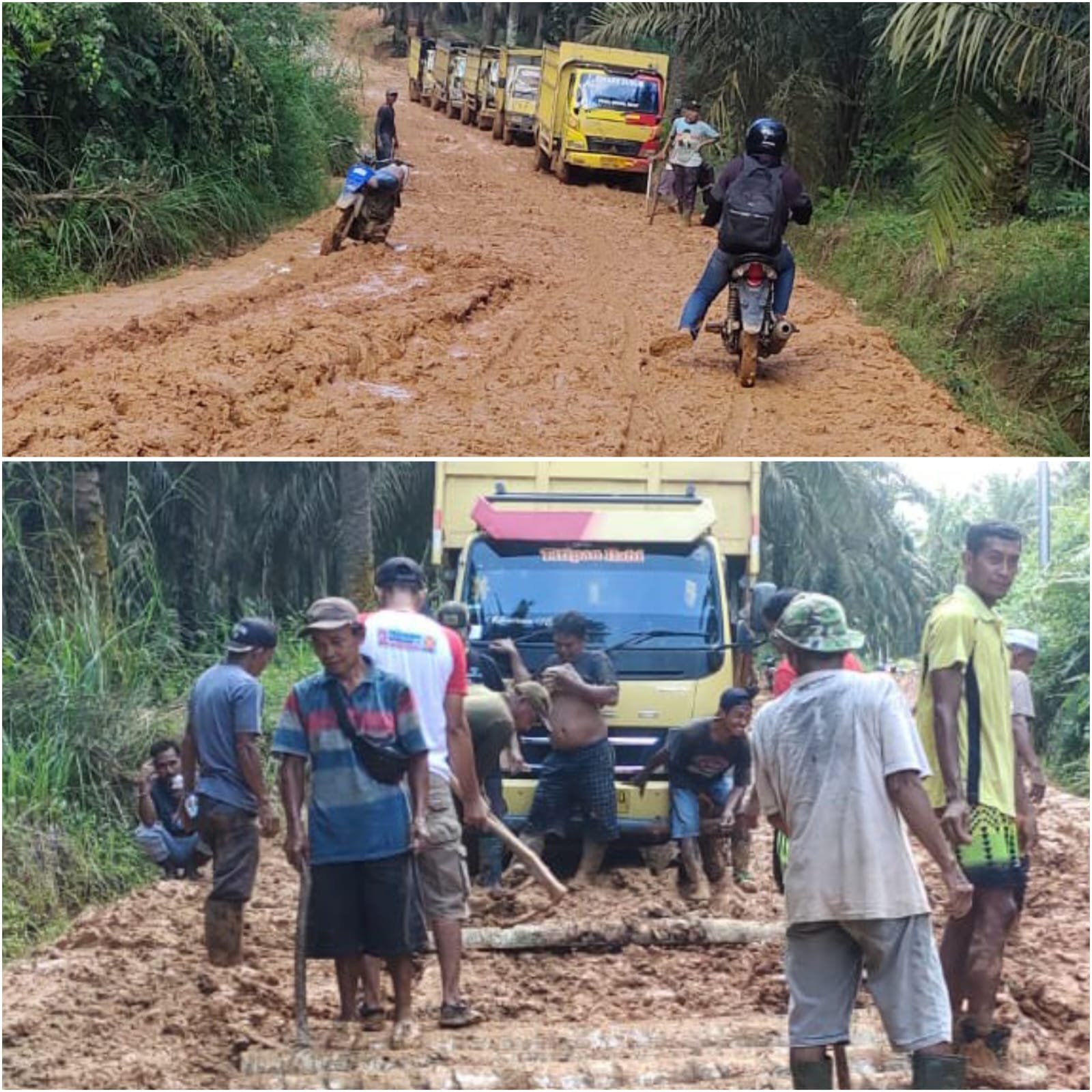 Warga Trans Pir Hutaraja Tinggi Gotong Royong Perbaiki Jalan Rusak