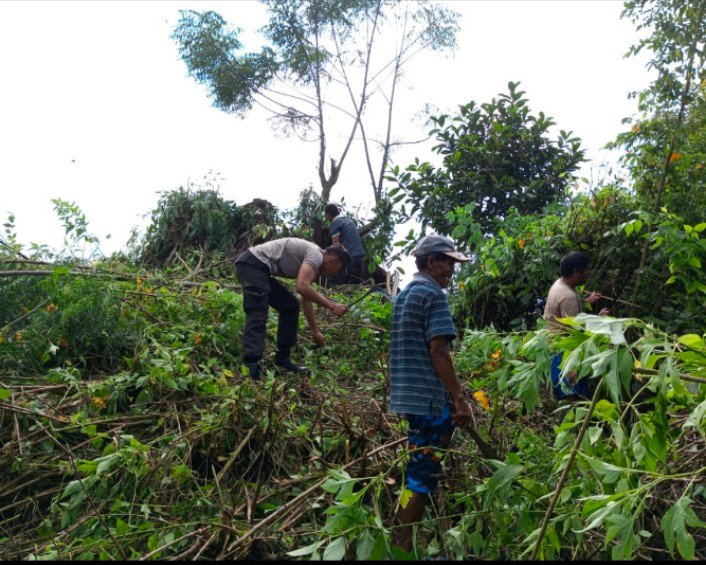 Polsek Palipi Gotong Royong Persiapkan Kelompok Sadar Wisata