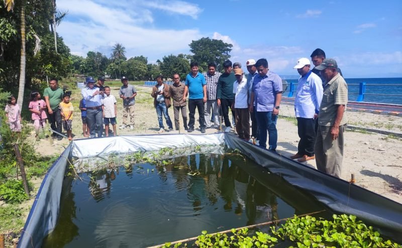 Bupati Samosir Bantu Kelompok Tani Pembudidaya Ikan
