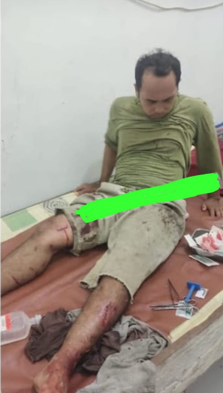 Kembali, Harimau Sumatera di TNGL Serang Pendodos Sawit