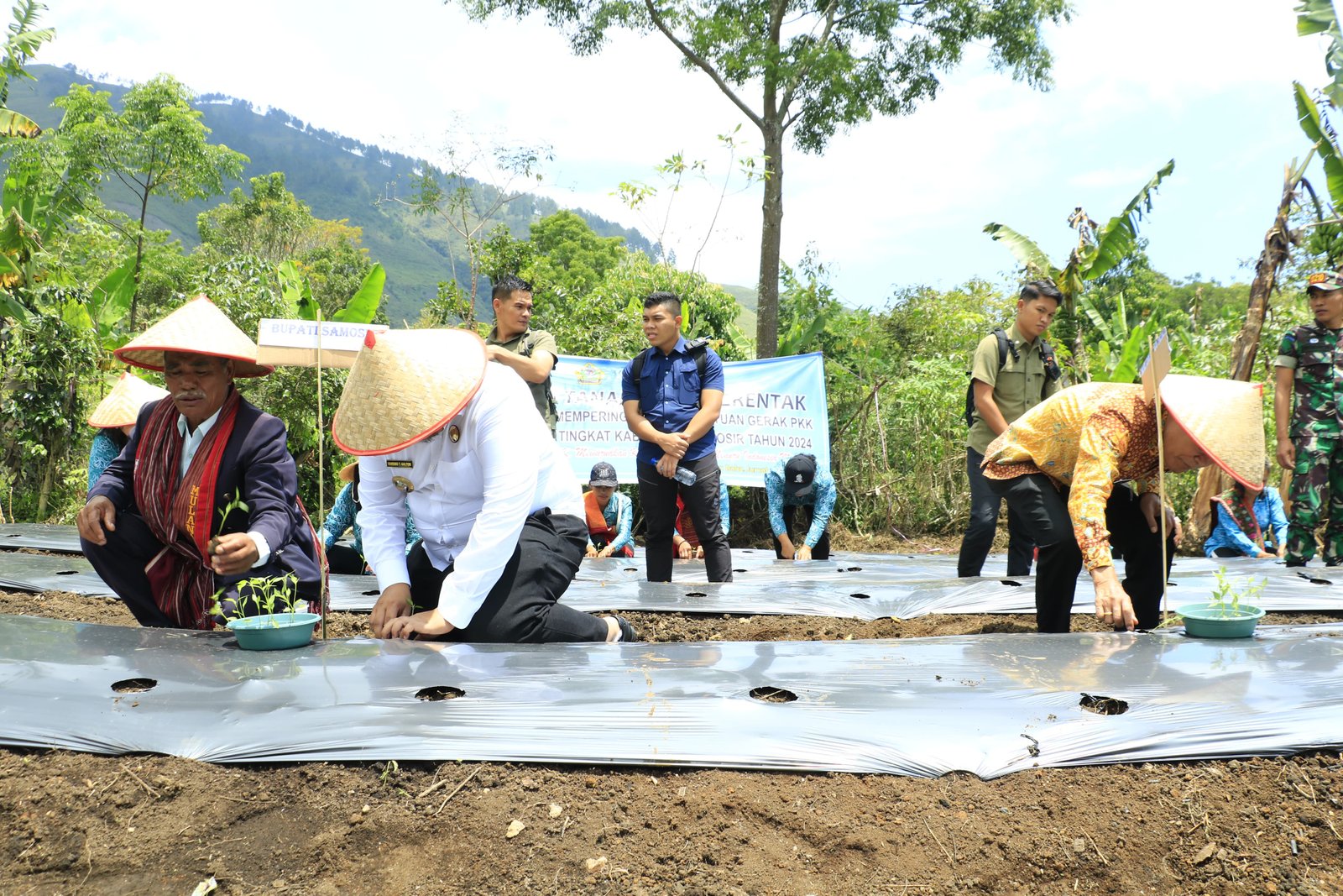 Bupati dan Wabup Tanam Cabe di 9 Kecamatan Secara serentak