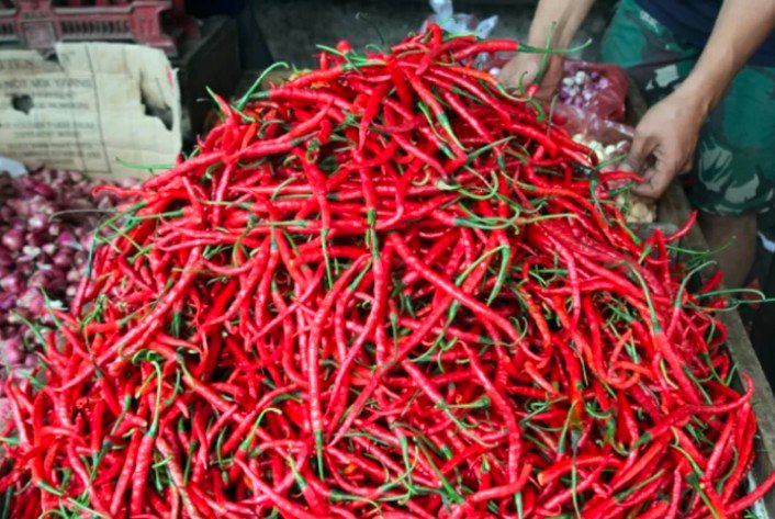 Harga Cabai Merah Sentuh 80 Per Kg, Buyarkan Harapan Deflasi Di Bulan Mei