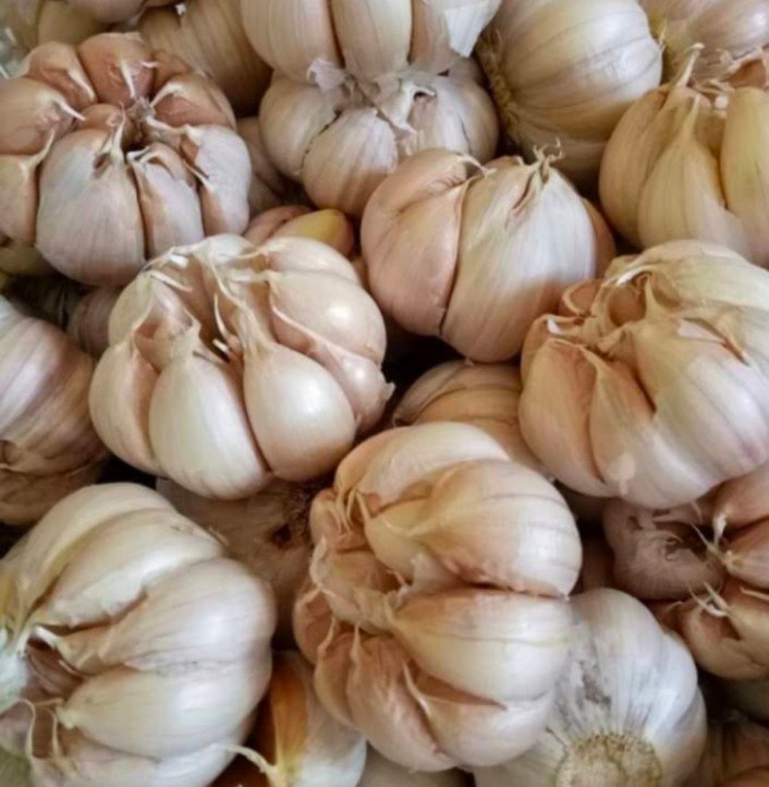 Harga Bawang Putih Dinilai Kemahalan, Berikut yang Bisa Dilakukan Pemerintah