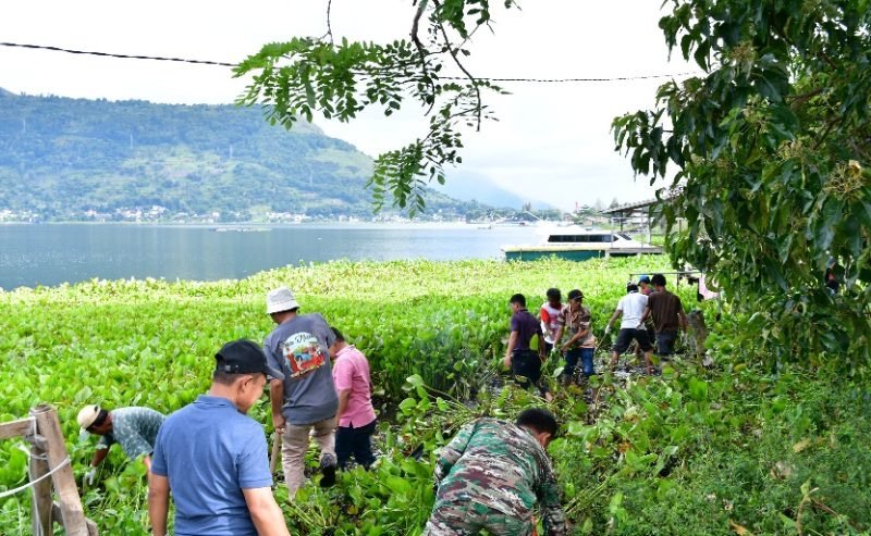 Samosir Kerahkan Truk Sampah Bersihkan Eceng Gondok di Danau Toba