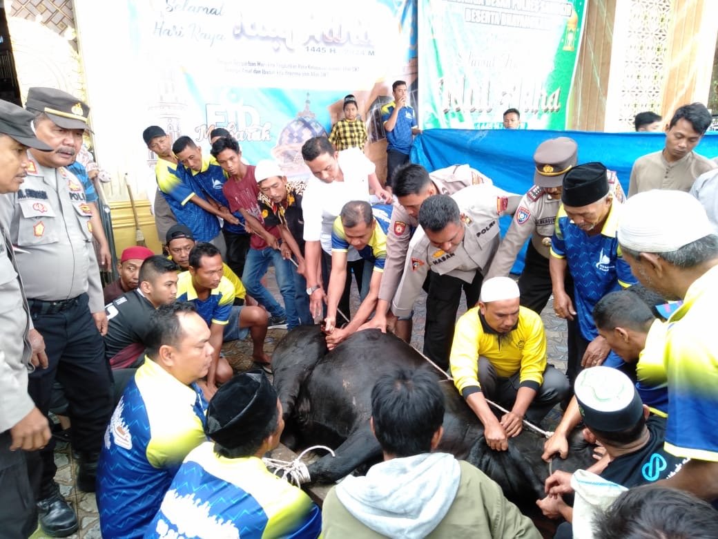 Polres Samosir Berkurban Rayakan Idul Adha 1445 H
