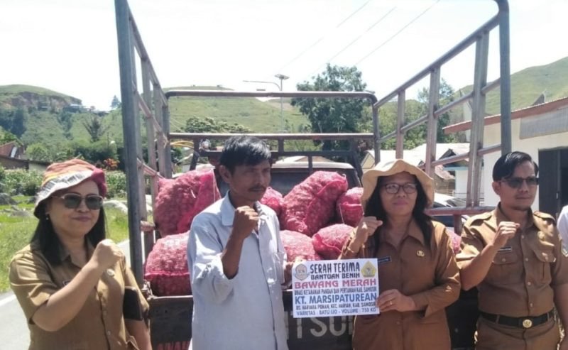 Pemkab Samosir Salurkan 20 Ton Bantuan Bibit Bawang Merah