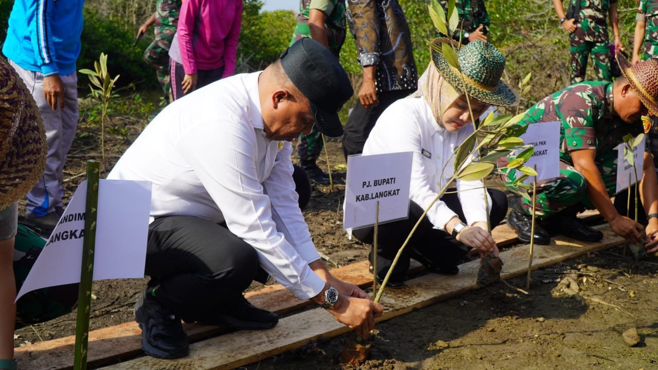 Peringati Hari Lingkungan Hidup, Pj Bupati Langkat Tanam 11.000 Pohon Mangrove di Kecamatan Brandan Barat