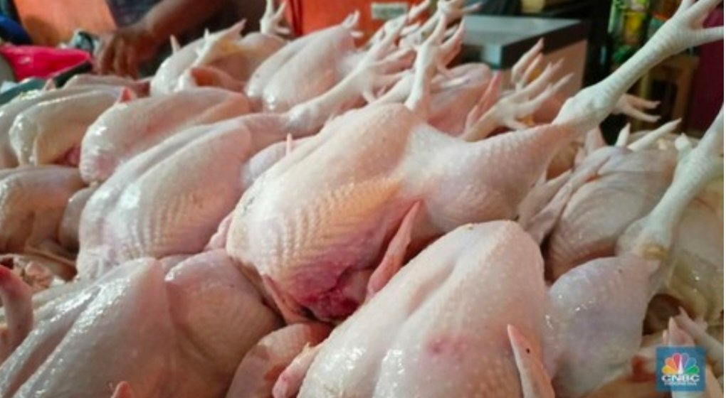 Di Medan Harga Daging Ayam, Bawang Merah Turun Lagi!, Tomat Dan Ikan Tongkol Bertahan Murah