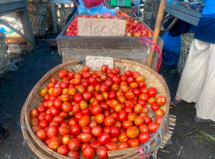 Harga Daging Ayam Dan Tomat Turun, Harga Bawang Merah Diproyeksikan Menyusul