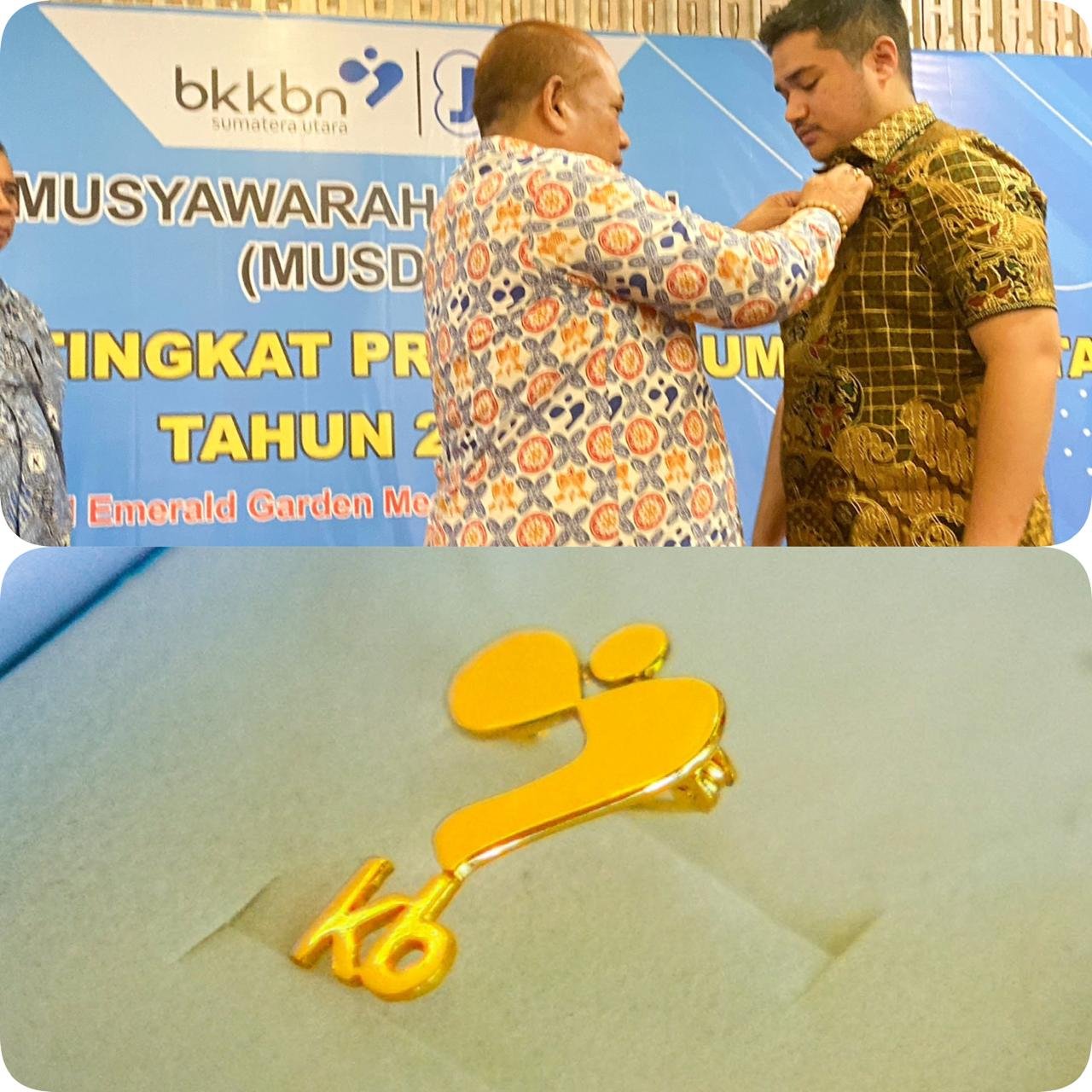 Dinilai Berhasil Jabat Ketua TPPS Sumut, Juken Beri Penghargaan Peniti Emas ke Ijeck