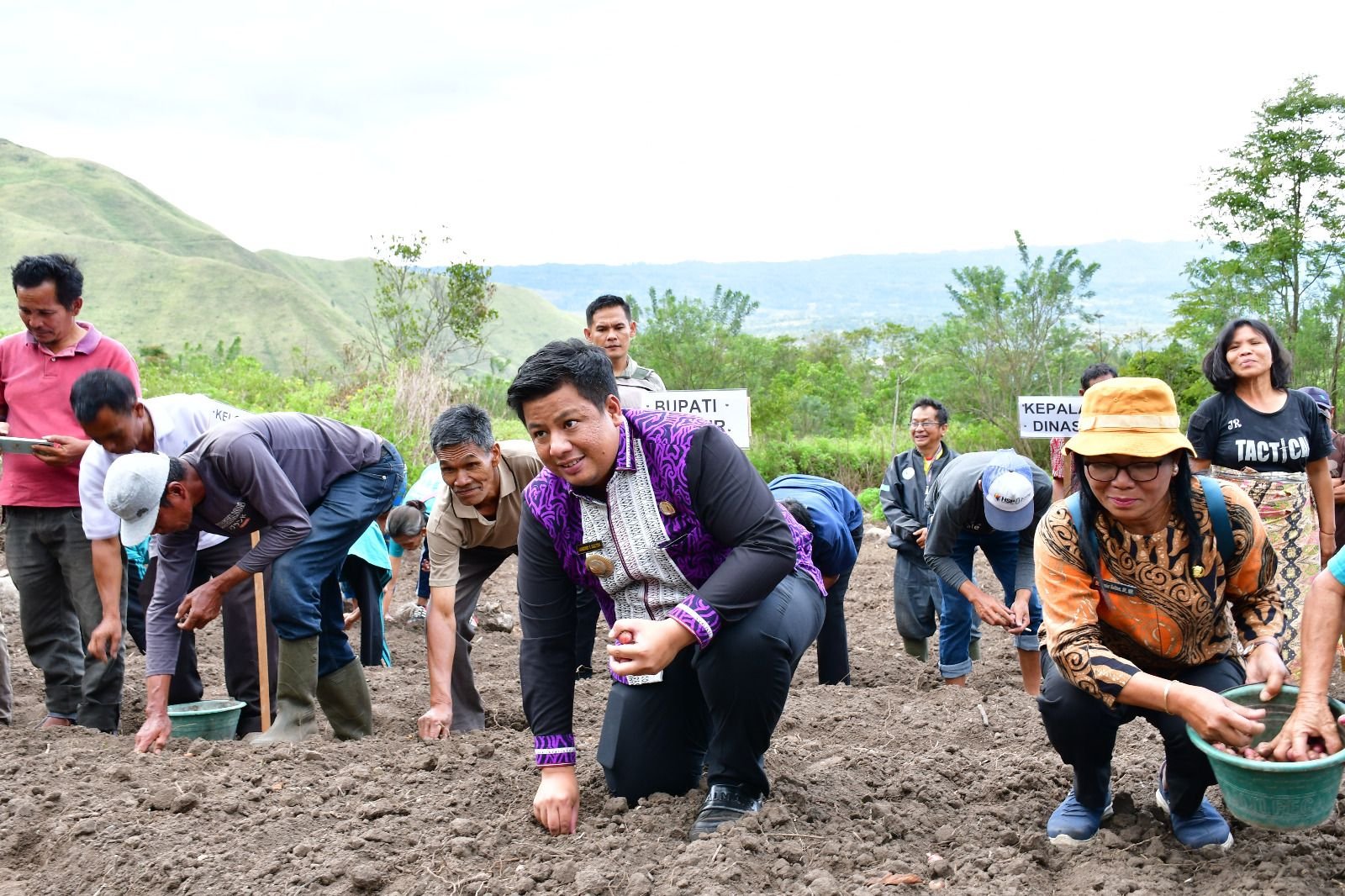 Bupati Samosir Tanam Bawang Bersama Poktan Desa Hariara Pohan