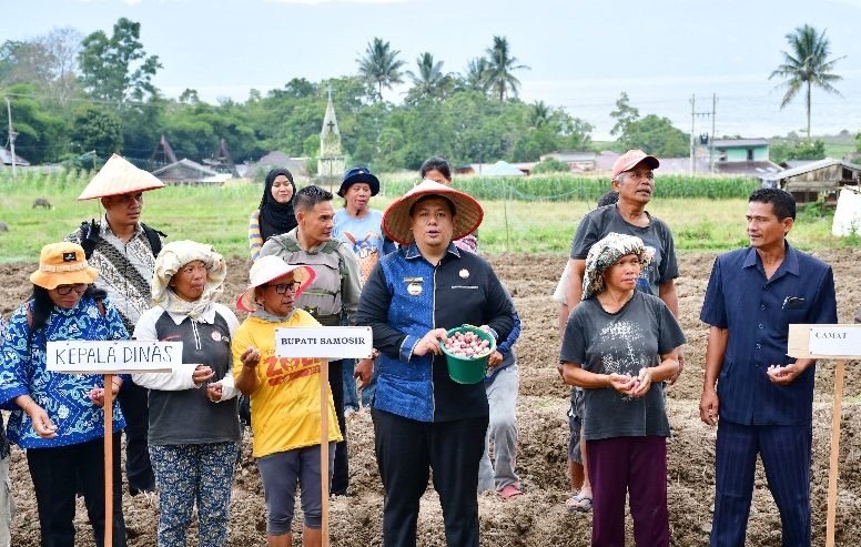 Tanam Bawang Merah di Desa Unjur, Ini Pesan Vandiko Gultom ke Poktan