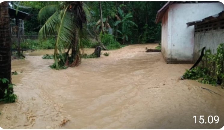 AMDAL Bandara AH Nasution Buruk, Puluhan Hektar Sawah Warga Gagal Panen Akibat Banjir