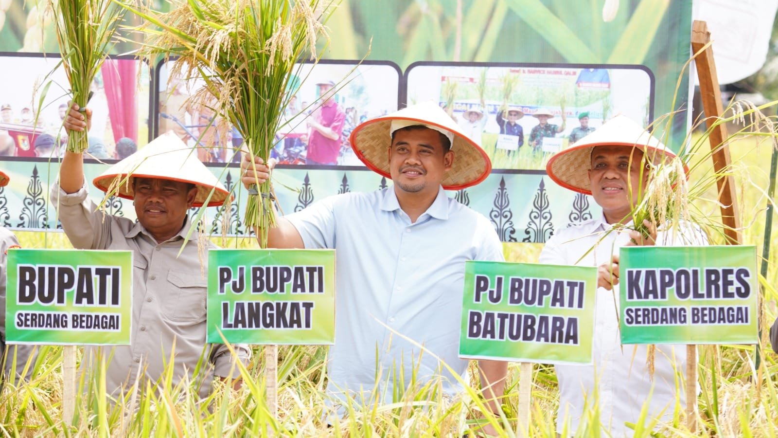 Pj. Bupati Langkat Hadiri Panen Raya di Sergai