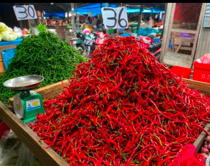 Harga Cabai Naik Setelah Perayaan Hari Kemerdekaan RI