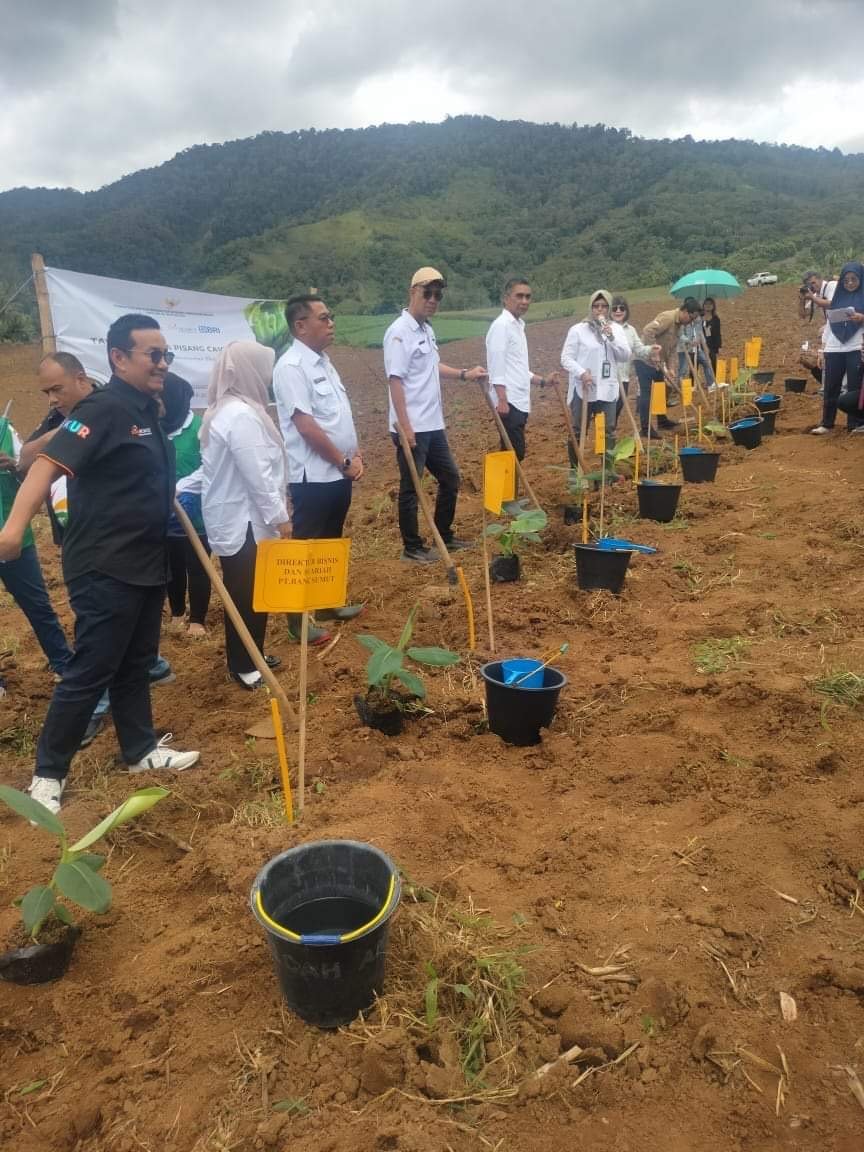 Polsek Kutabuluh Bersama Masyarakat Desa Negri Jahe Tanam Perdana Pisang Cavendish