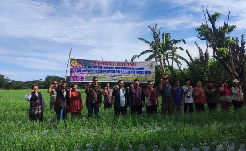 Kunker ke Samosir, Staf Ahli Mentan Tinjau Kawasan Pertanian Bawang Merah
