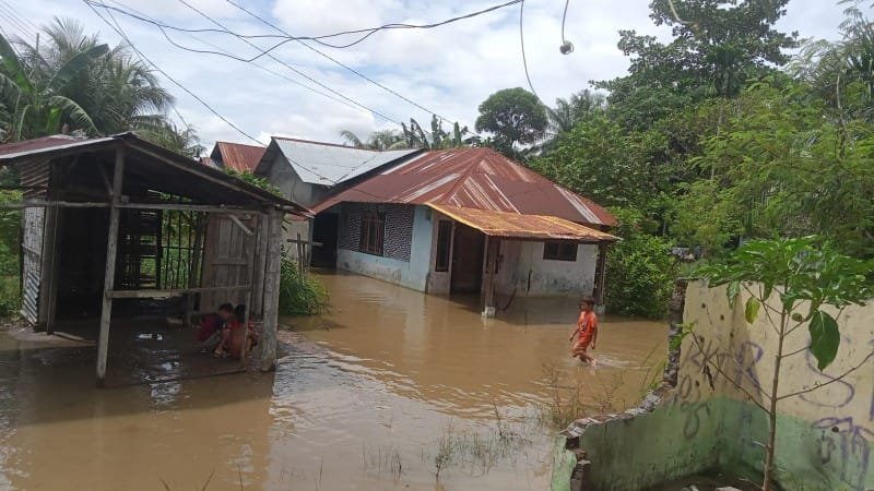 Ratusan Rumah dari 5 Desa di Kecamatan Bandar Khalifa Terendam Air Setinggi 50 Cm