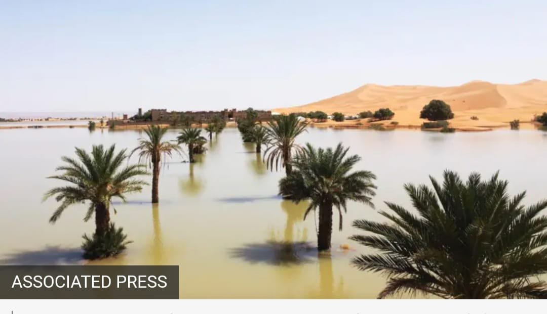 Gurun Sahara Dilanda Banjir untuk Pertama Kali dalam Setengah Abad