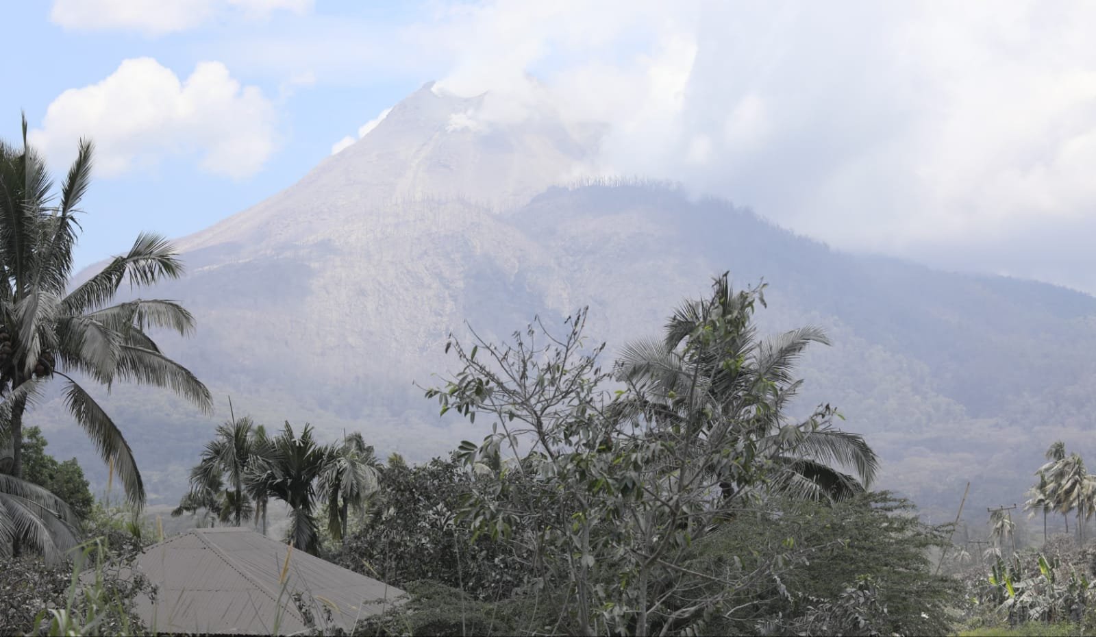 Erupsi Gunungapi Lewotobi Laki-laki, Pemerintah Percepat Relokasi Warga