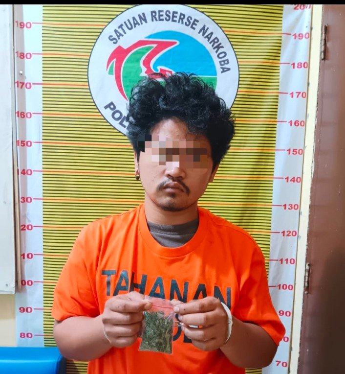 Polres Samosir Tangkap Pria Diduga Pemilik Narkotika Jenis Ganja