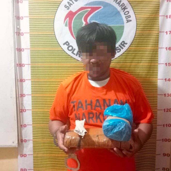 Polres Samosir Tangkap Terduga Pengedar Narkotika Jenis Ganja di Desa Cinta Dame