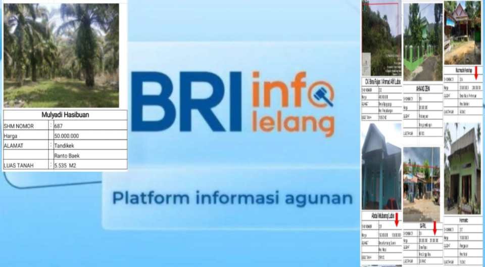 Adakan Lelang 5  Rumah dan 7 Bidang Tanah, Hubungi Website Resmi BRI Panyabungan