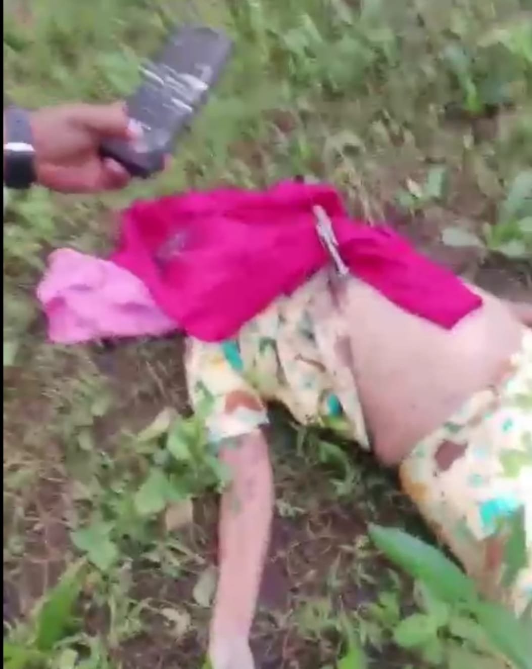 Heboh, Warga Temukan Mayat Perempuan di Perkebunan Sawit